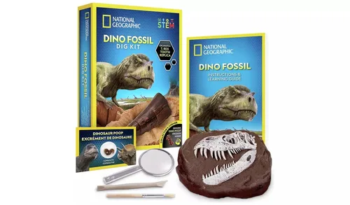 ערכת חפירה וארכיאולוגיה – שיני T REX מבית נשיונל ג'יאוגרפיק NATIONAL GEOGRAPHIC
