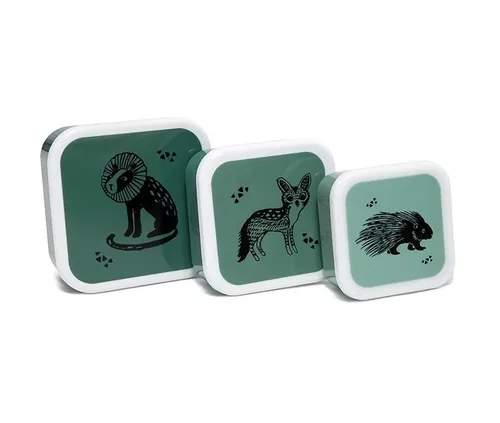 סט קופסאות חיות ירוק שחור מבית PETIT MONKEY