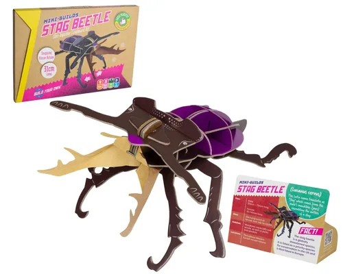 בנו בעצמכם! חיפושית אייל! (STAG BEETLE) מבית BUILD YOUR OWN